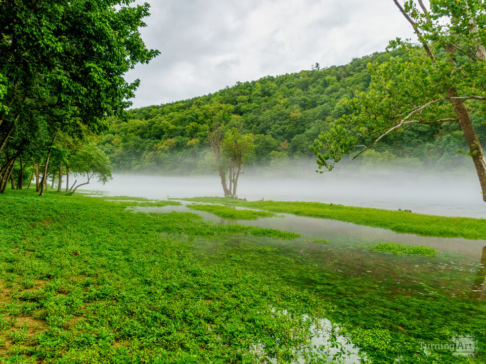 Peaceful Summer Fog Lake Taneycomo