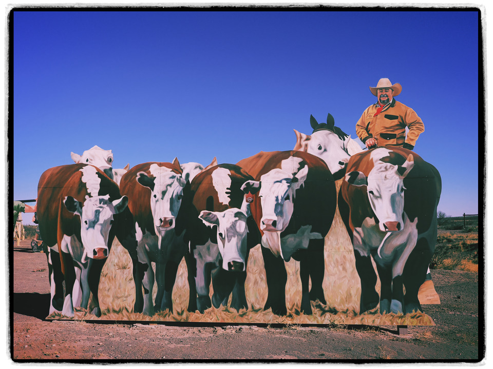 Roadside Near Marfa