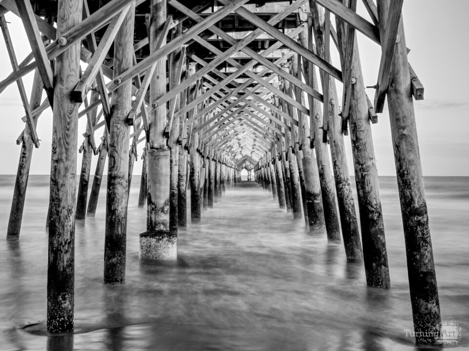 Let The Light Shine Through Grayscale