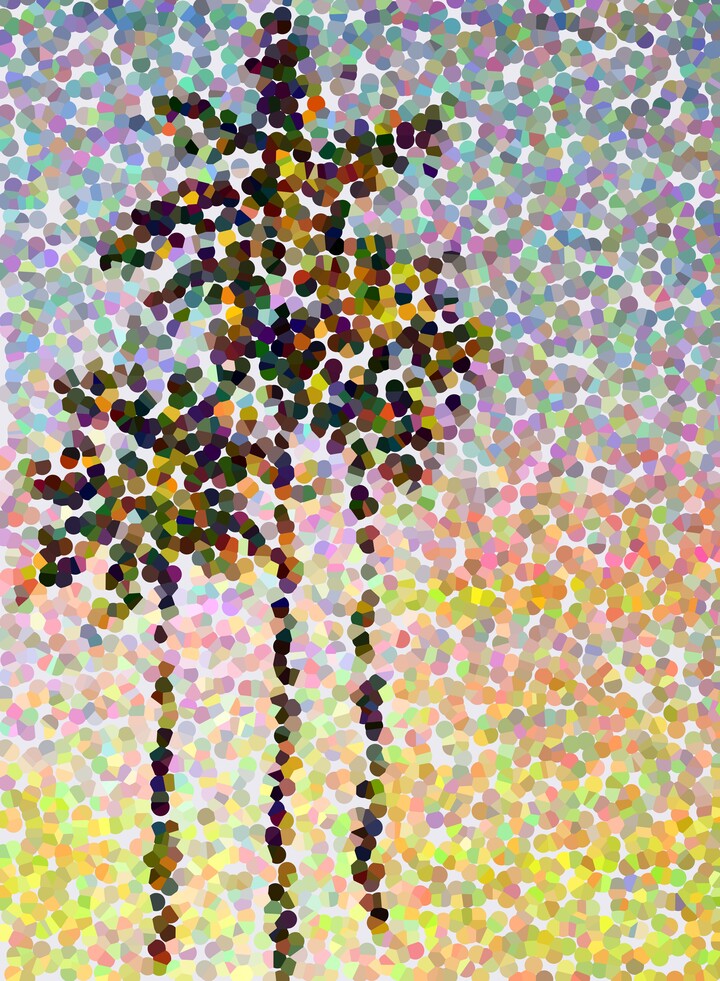 Palm Trees