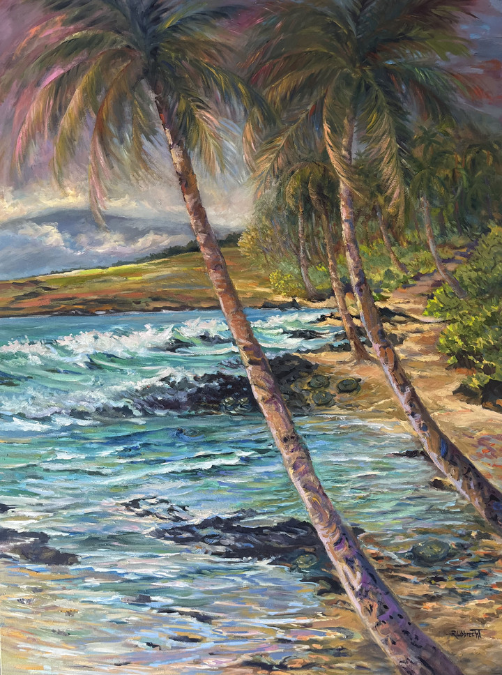 Honu rest Maui glows through to Puako