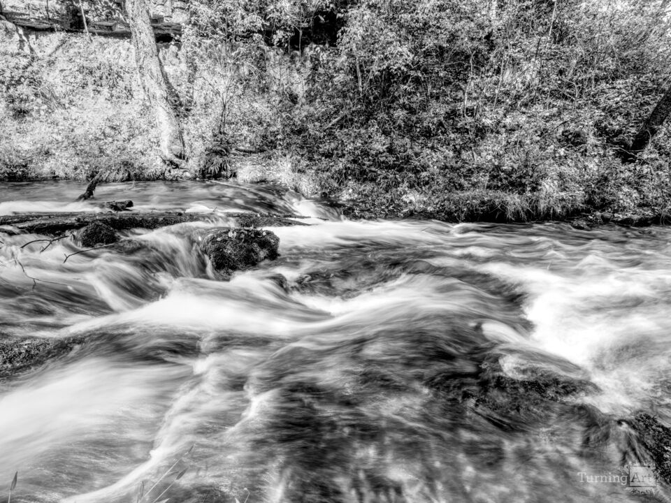 Rushing Waters Of Ozarks Greer Spring Grayscale