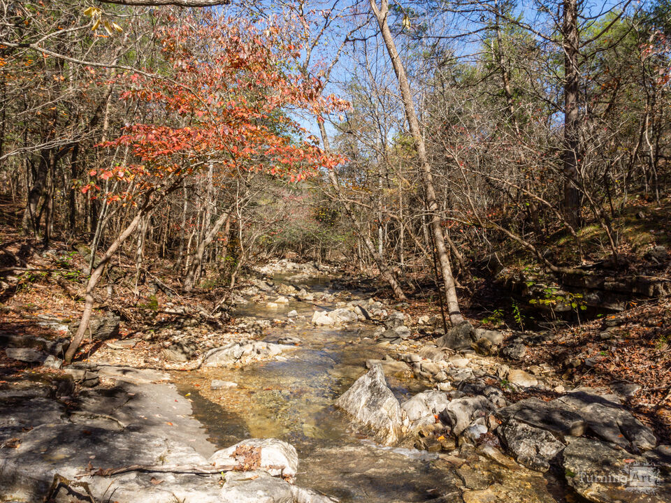 Ozarks Woody Rocky Creek In Fall