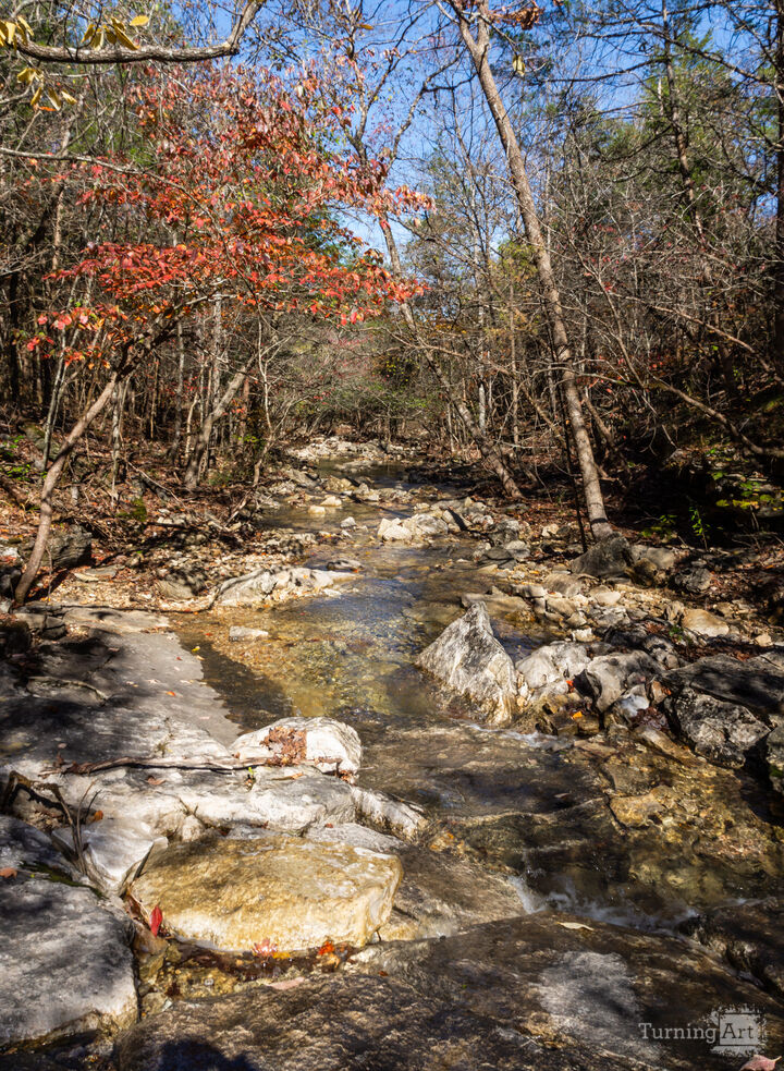 Ozarks Woody Rocky Creek In Fall Vertical