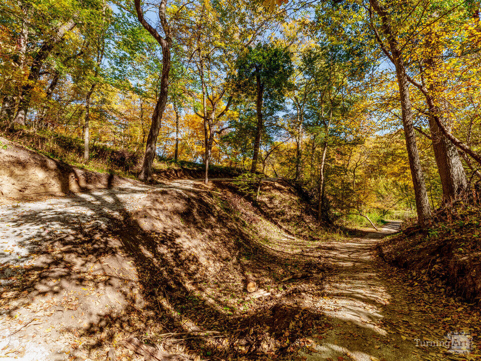 Switchback Wooded Hiking Trail