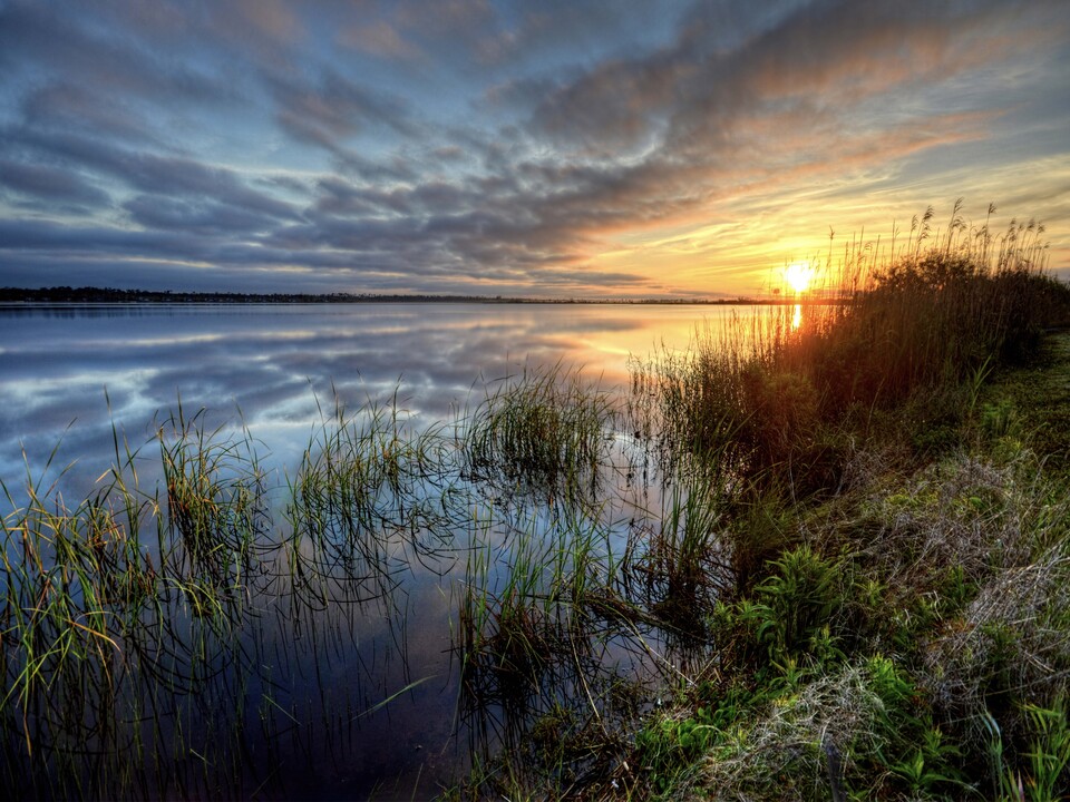 Sunrise on Lake Shelby, Gulf Shores Alabama
