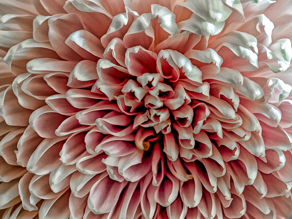 Fibonacci Rides Again #3