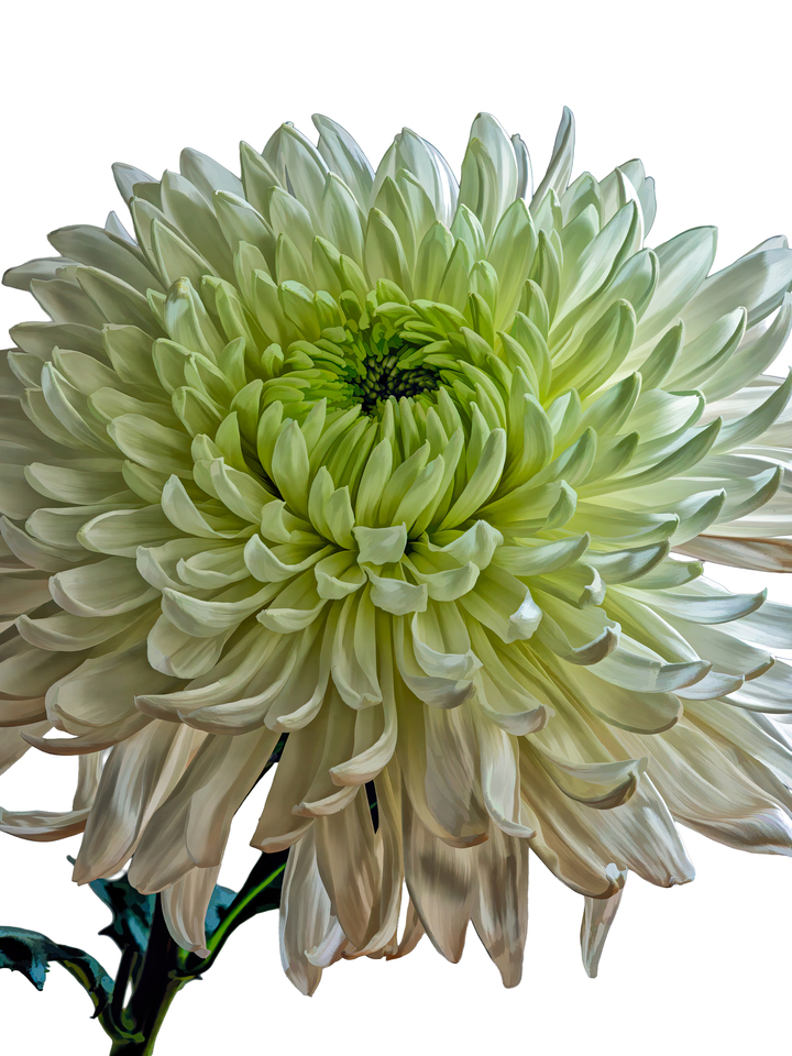 Fibonacci RIdes Again #2