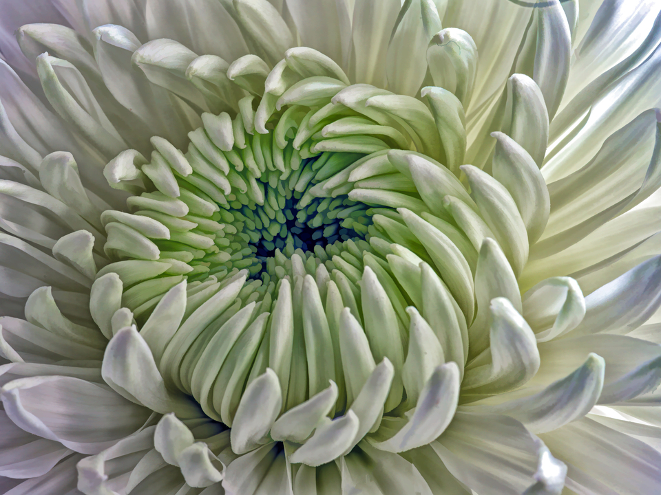 Fibonacci Rides Again #4