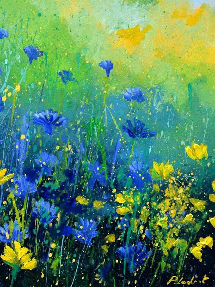 Blue and yellow wild flowers