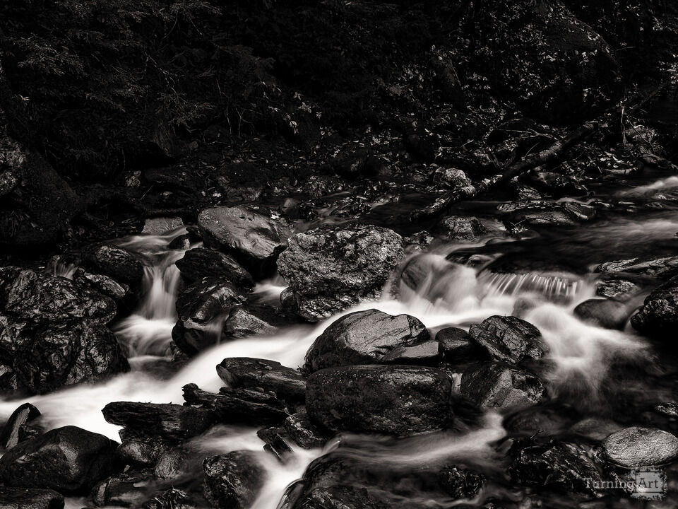 Vermont Brook in Black and White