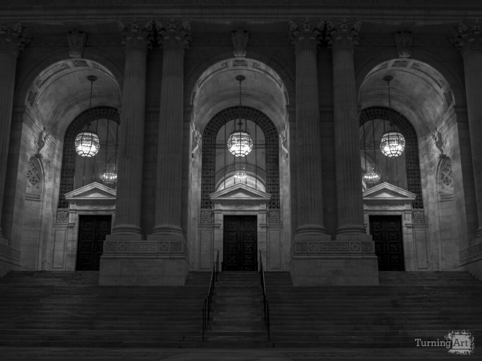 The Art of Black and White: NY Public Library