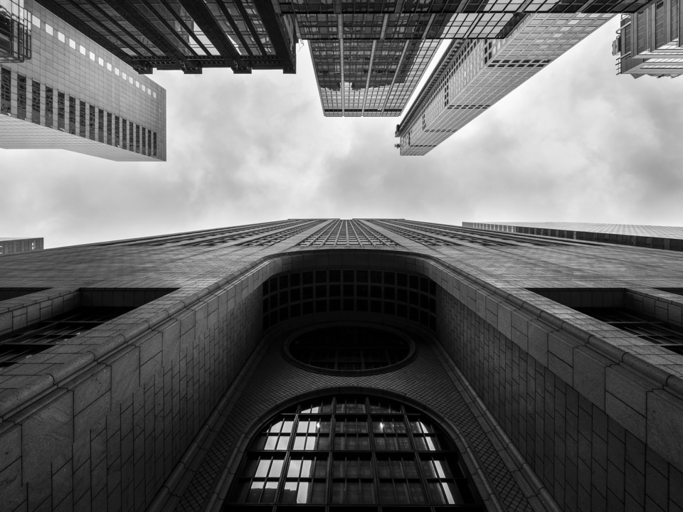 The Art of Black and White: Looking Up