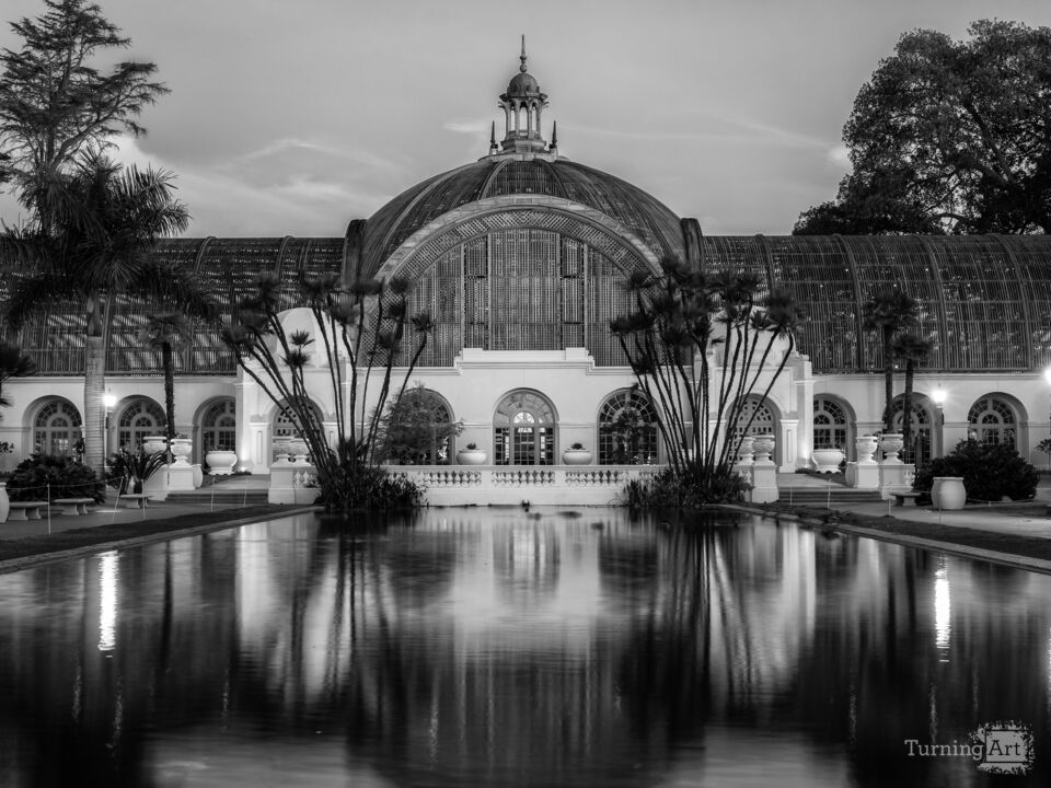 Botanical Building Moody Monochrome