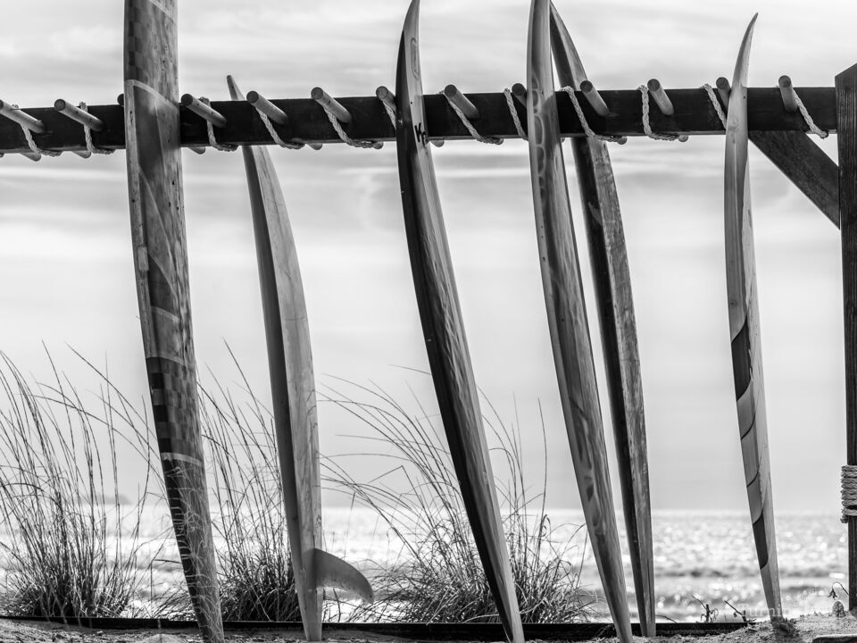 Seaside Surfboards Monochrome 