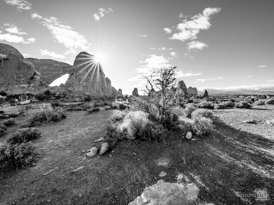 Sun Star At Arches North Window Grayscale