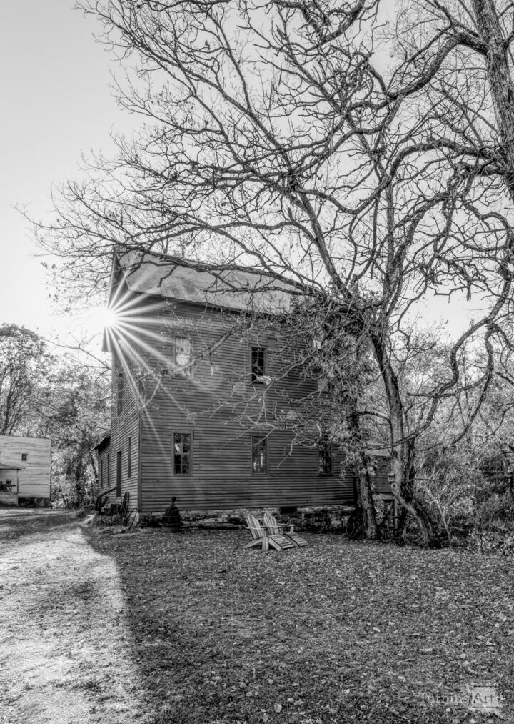 Sun Star By Topaz Mill Grayscale