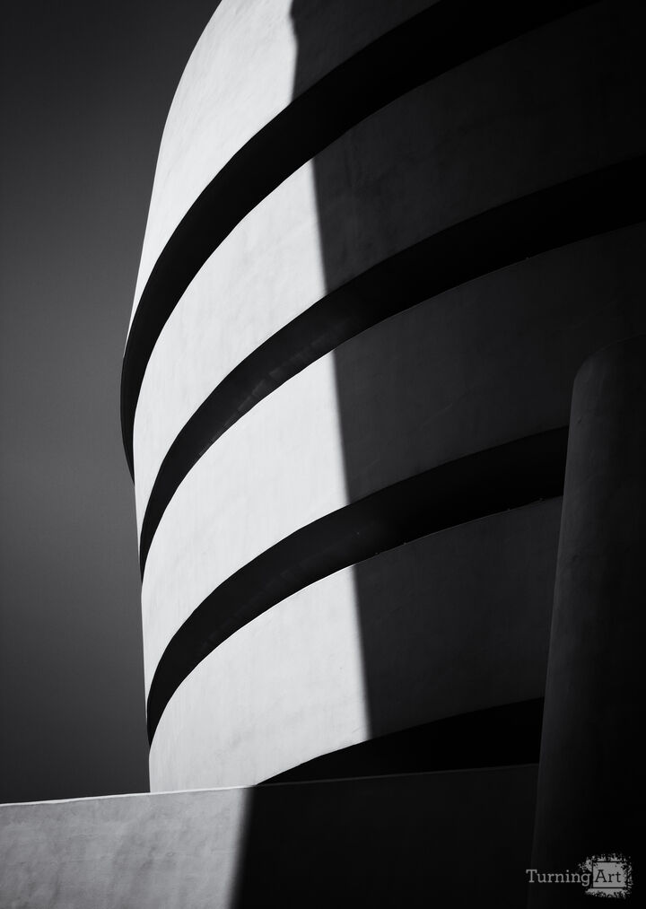 The Art of Black and White: Guggenheim Museum