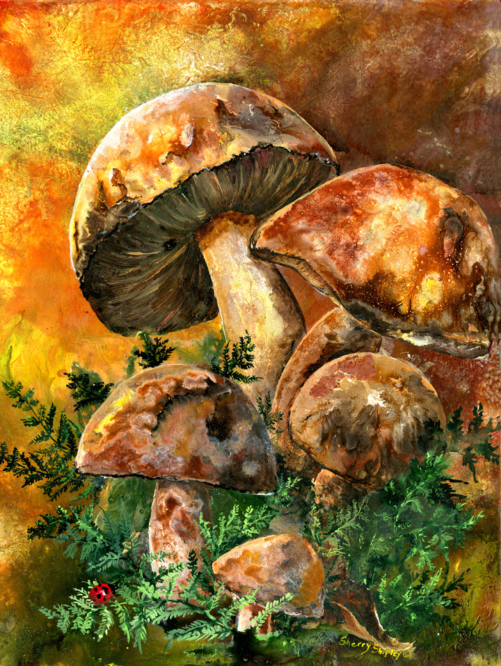 March of the Mushroom