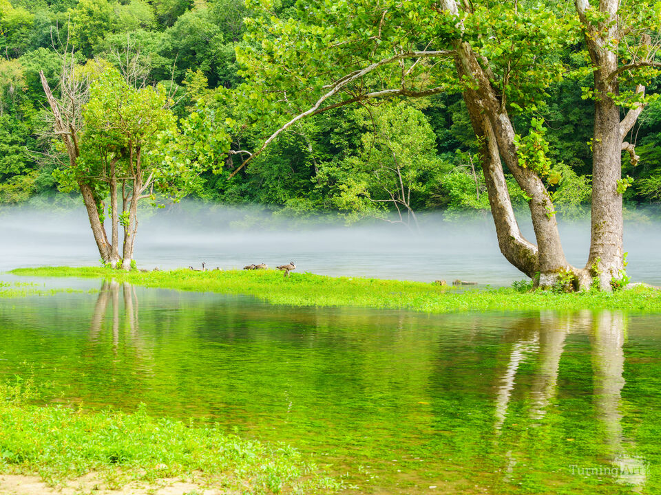 Misty Afternoon And Geese On Ozark Waters