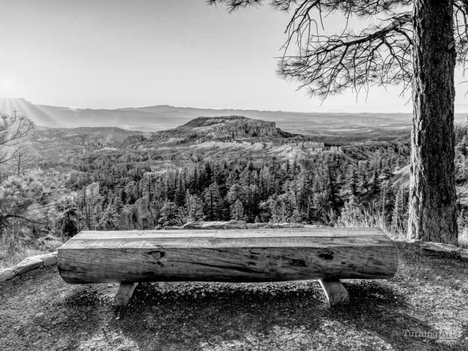Bryce Sunrise Point Golden Bench Grayscale