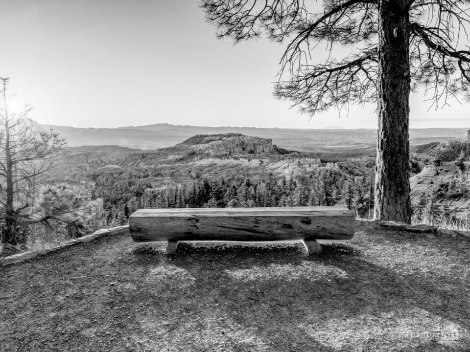 Sunrise Bench Glow Bryce Canyon Grayscale