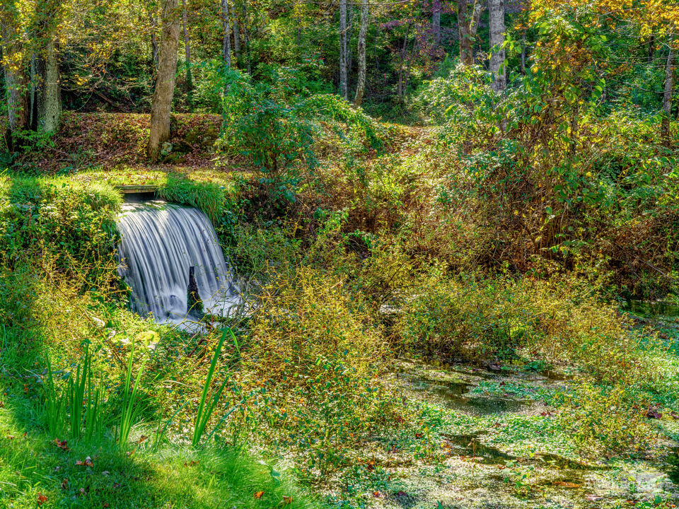 Ozarks Woodland Cascade