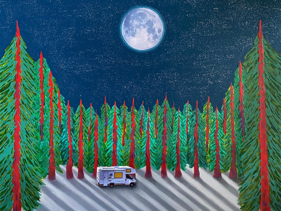 Shed Attachments n.5