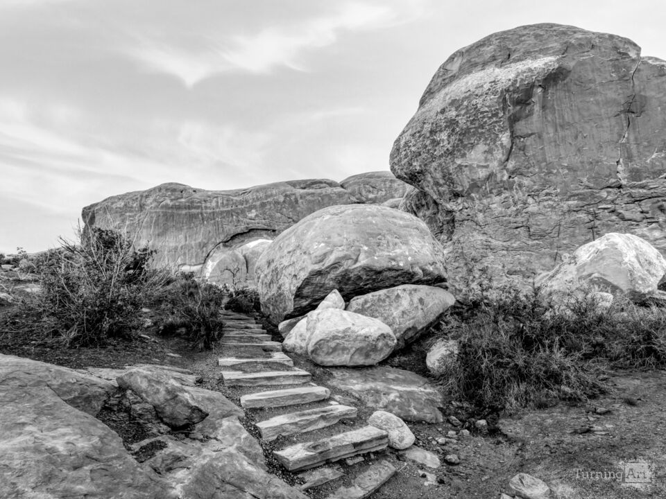 Pathway To Glow Through South Window Grayscale