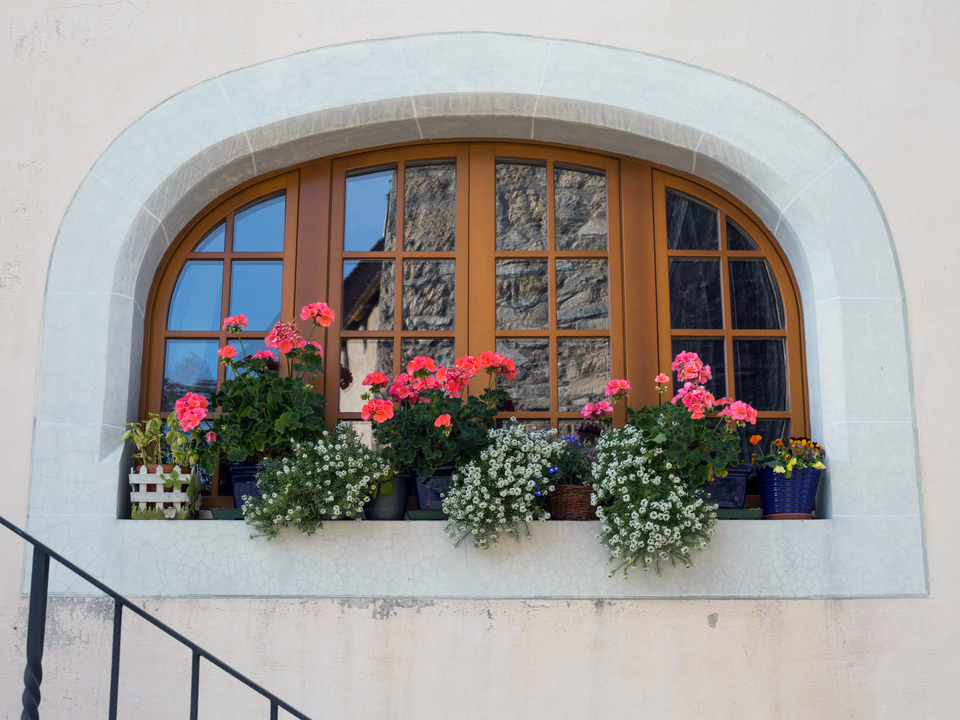 Reflections of Reverence