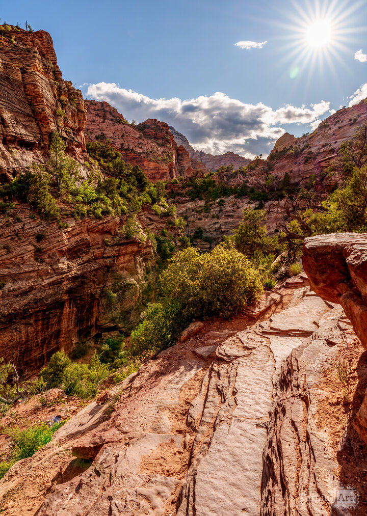 Sunburst Over Zion Canyon Vertical