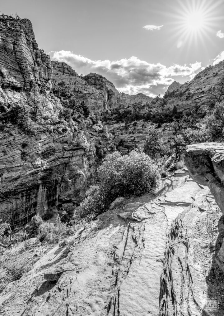 Sunburst Over Zion Canyon Vertical Grayscale