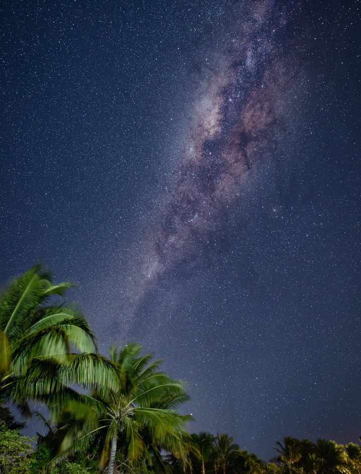 Milky Way Over Palms