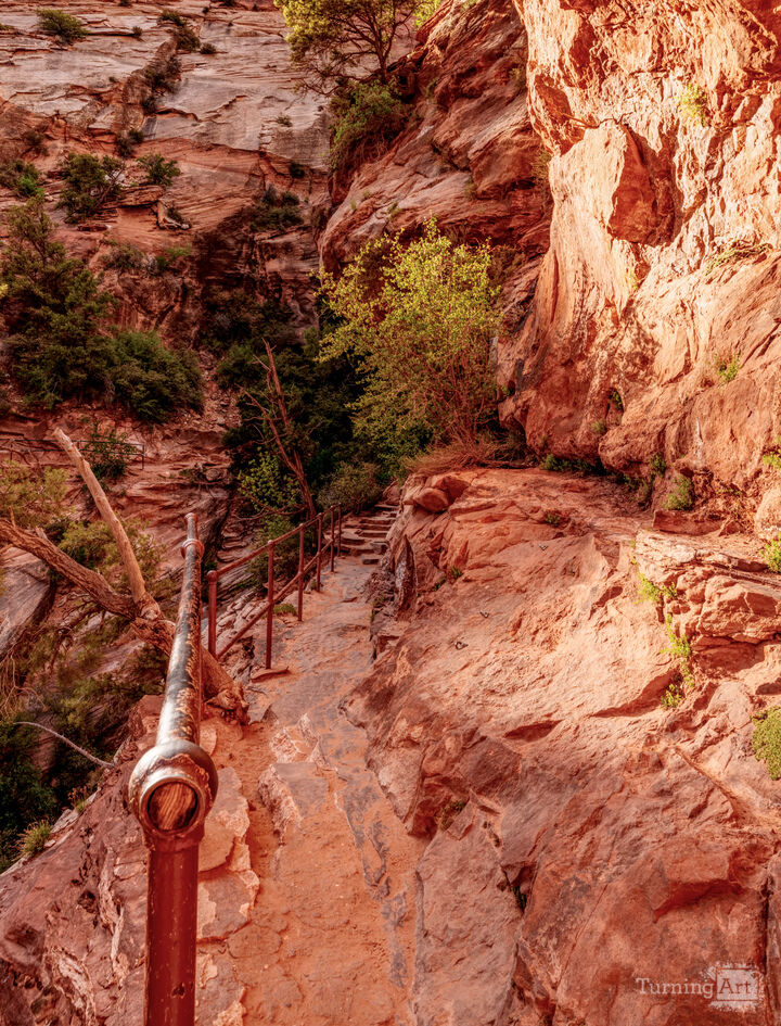 Cliff Side Trail To Zion Overlook