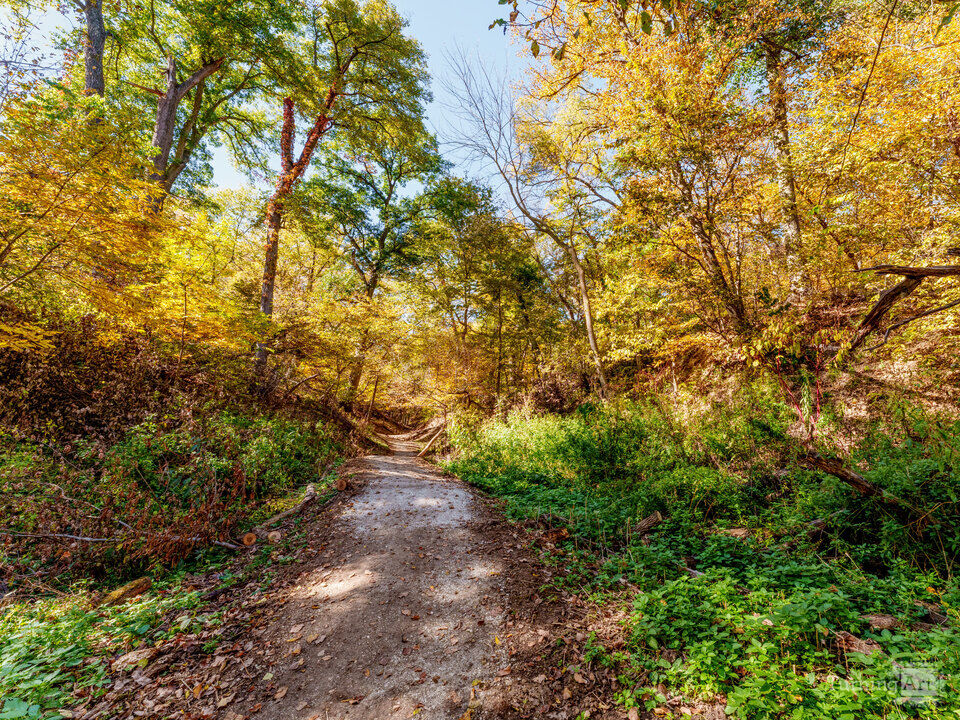 Autumn Path Through Fontenelle Forest