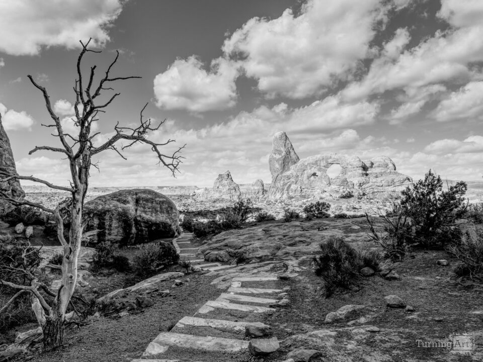 Good Morning Turret Arch Grayscale