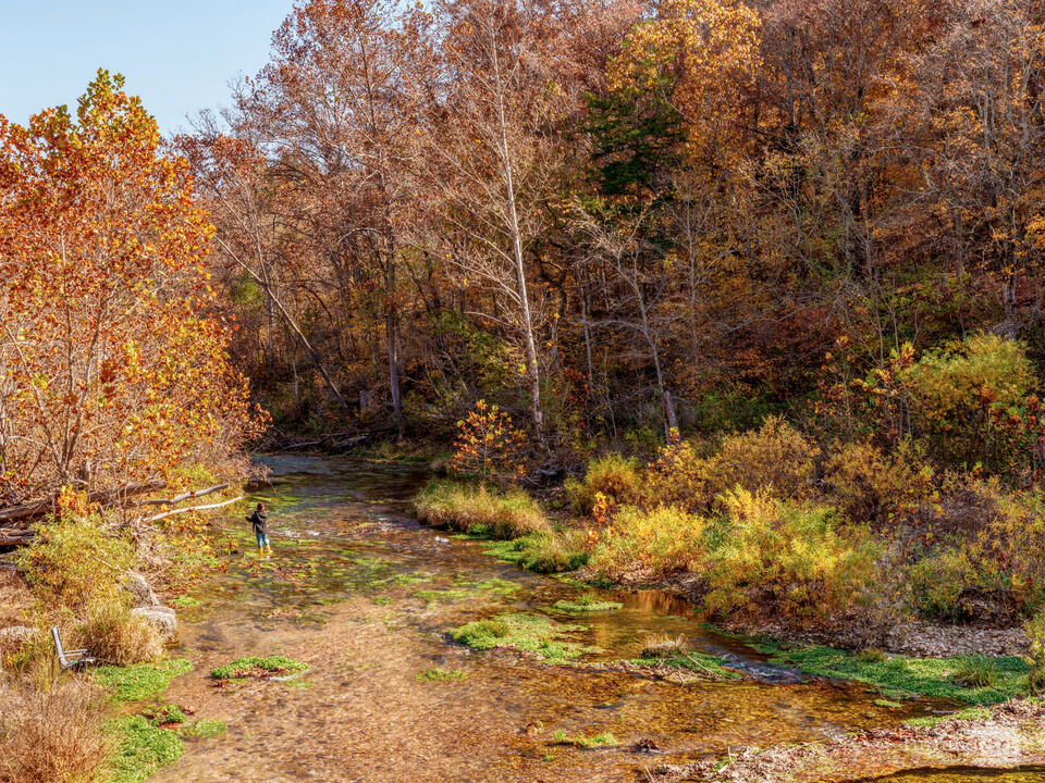 Woman Fishing Spring Creek In Fall