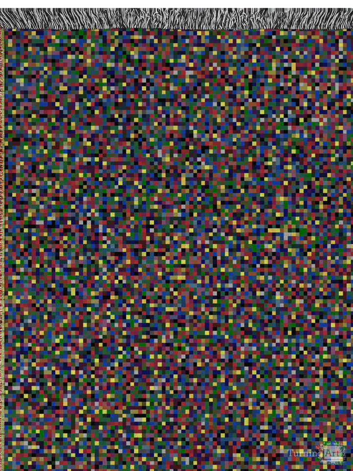 Blanket 2 [ Woven Object ]