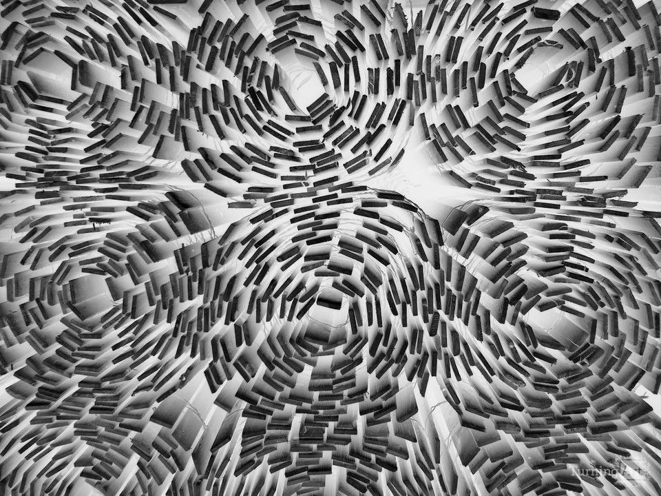 Fred Tells a Negative Fence Joke