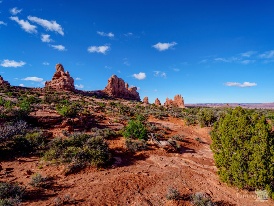 Arches Windows Section Desert Beauty