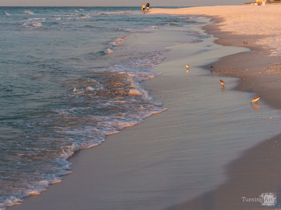 Sanderling Group Morning Fishing Pensacola