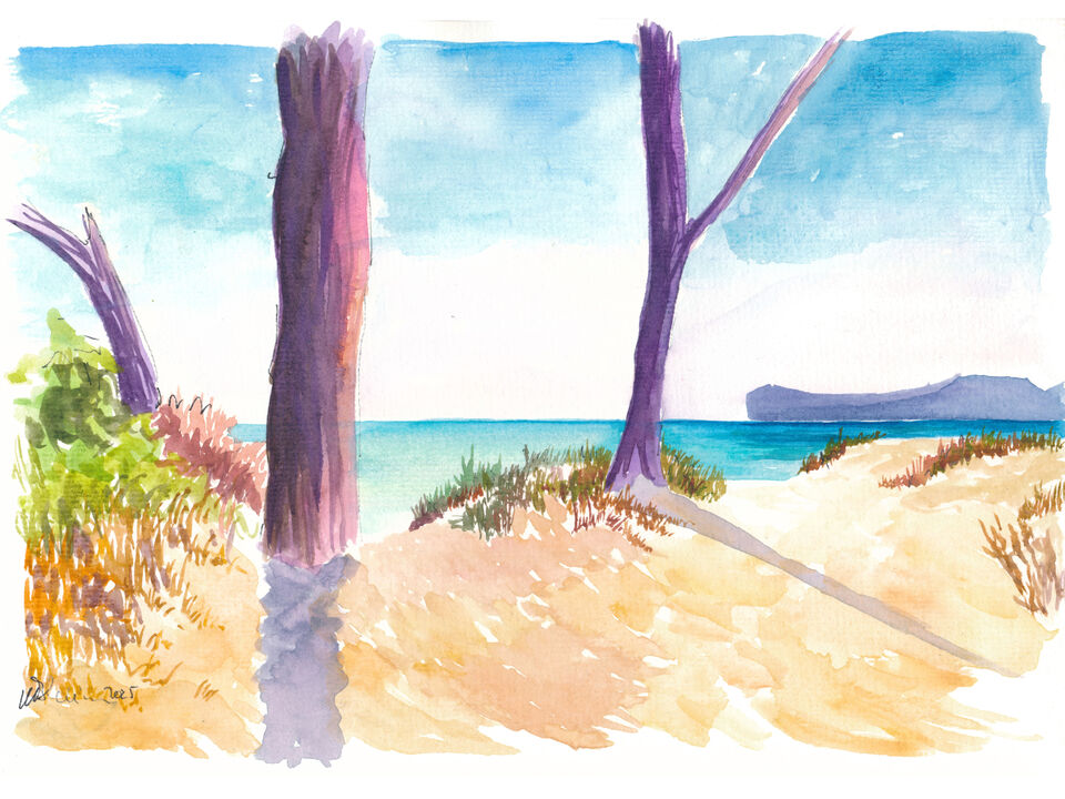 Beach Dunes in Sardinia near Alghero Platja de Maria Pia