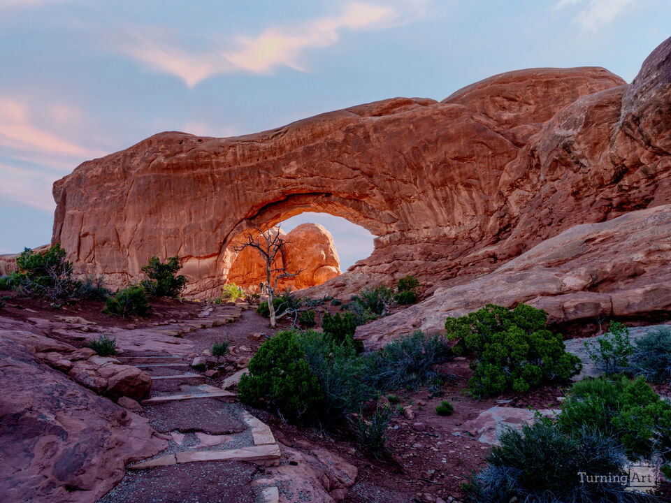 Bare Tree Sunrise South Window Arch