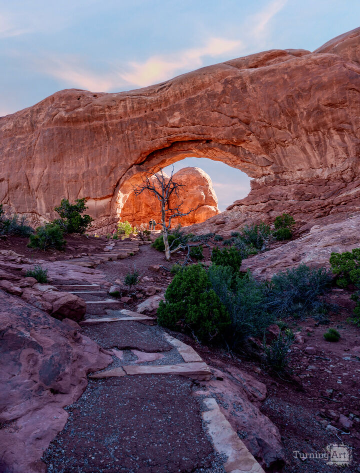 Bare Tree Sunrise South Window Arch Vertical