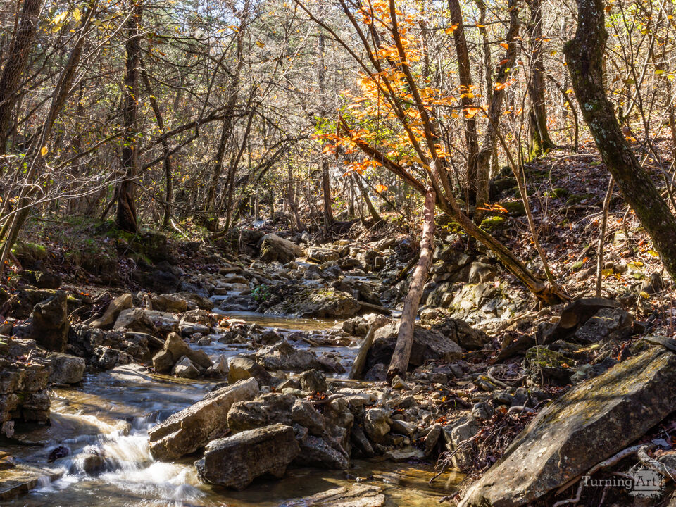 Rocky Ozarks Creek In Fall