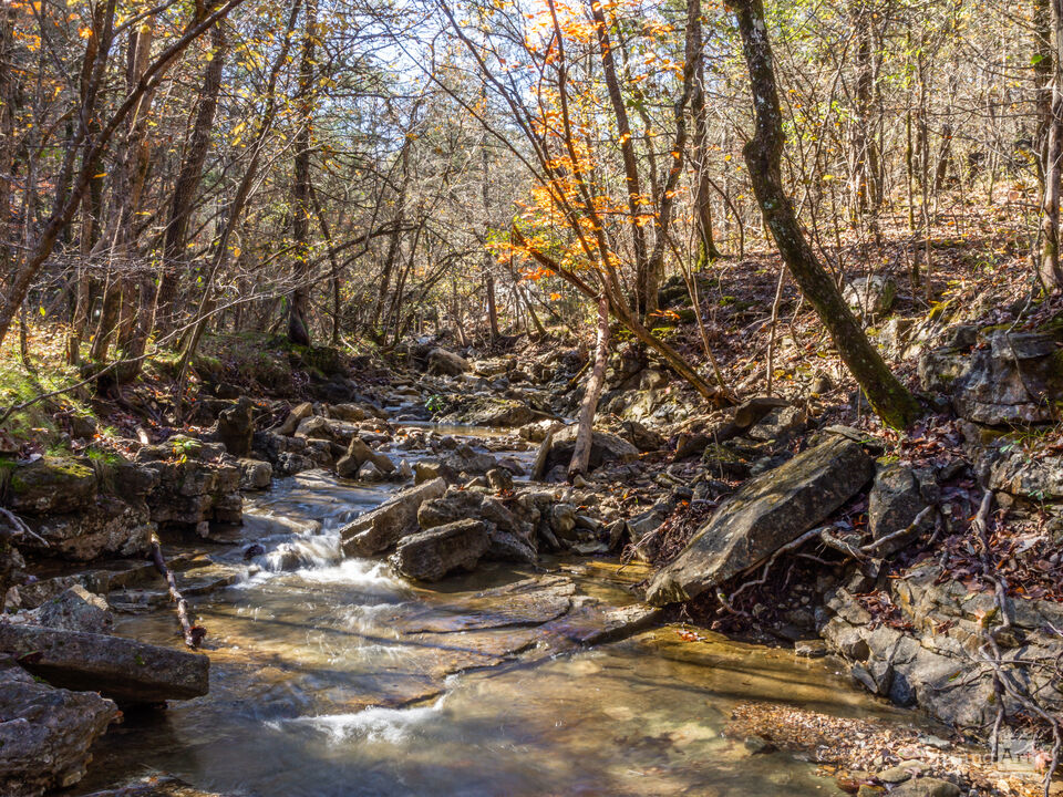 Flowing Creek Branson Ozarks Forest