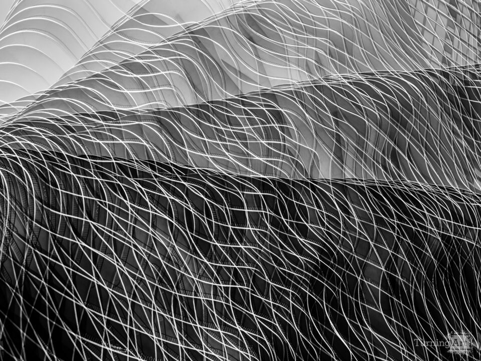 Aqua Radisson Blu Multiple Exposure Black & White