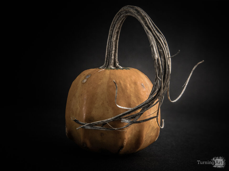 Gourds No 14 Color Version