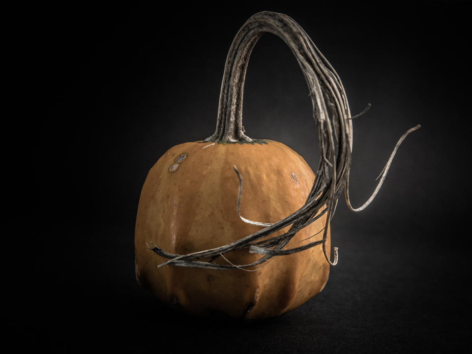 Gourds No 14 Color Version