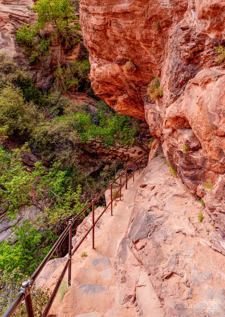 Zion Canyon Cliff Side Trail 